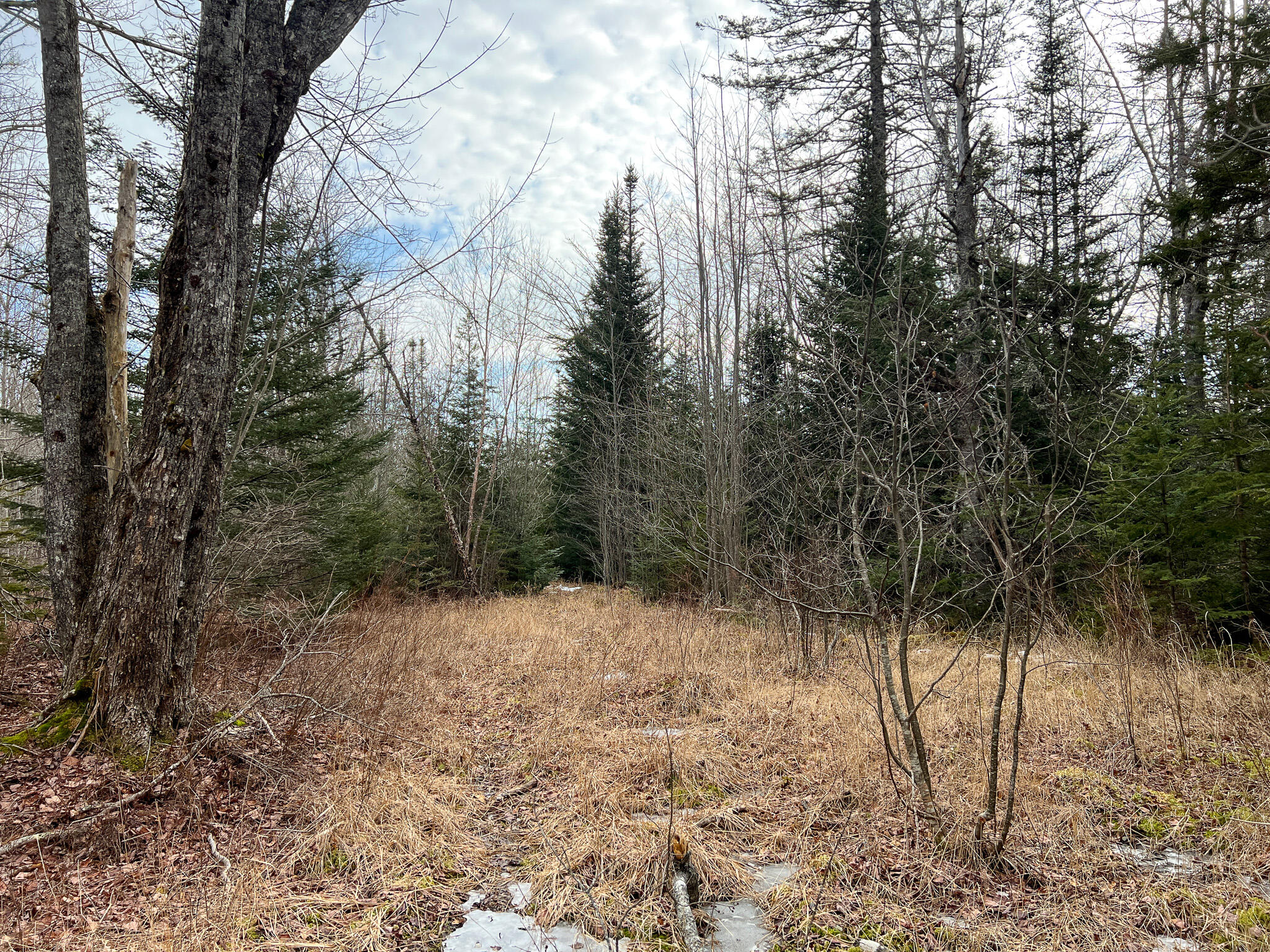 M4-l117 Southwest Crk Road Jonesport, ME 04649 - Photo 15 of 18 IMG_8385