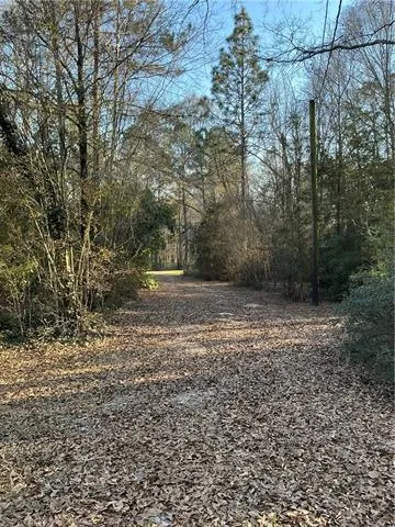$230,000 | 21305 Highway 1061, Amite, LA 70422
