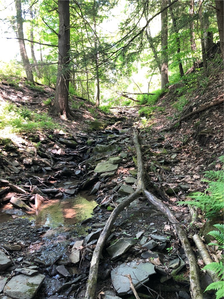 Dingman Hill Road Bainbridge, NY 13733 - Photo 1 of 21 Creek is the back border of the property