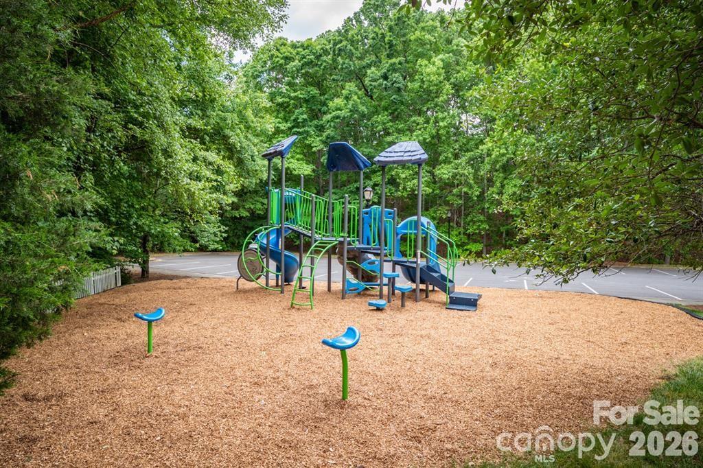 189 Mills Lane Fort Mill, SC 29708 - Photo 43 of 45