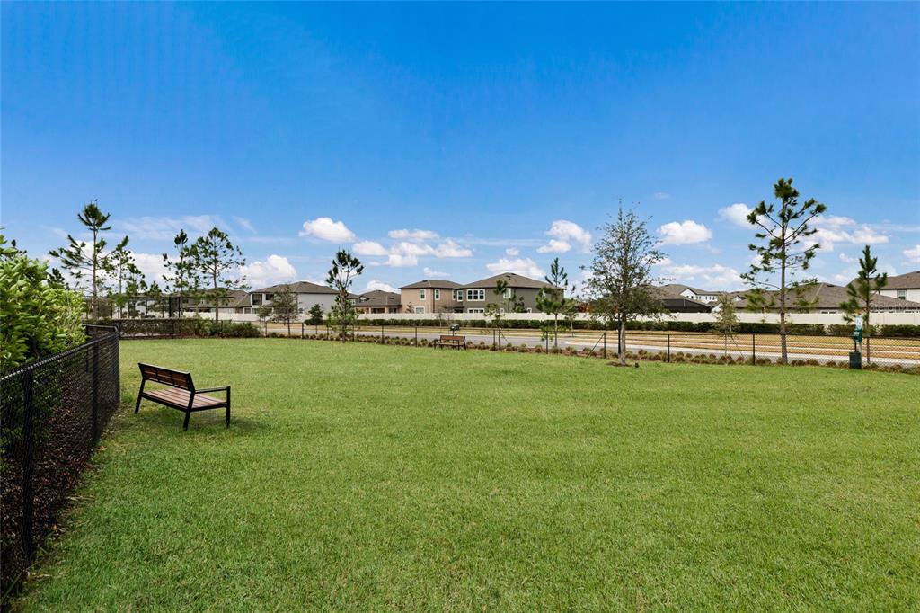 5552 Blue Azure Drive Wimauma, FL 33598 - Photo 47 of 63