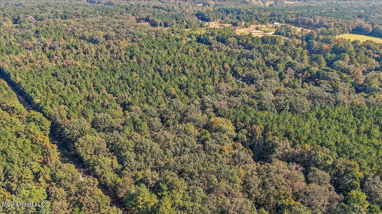 0 Cleary Road Florence, MS 39073 - Photo 6 of 25 06-00 Cleary Rd