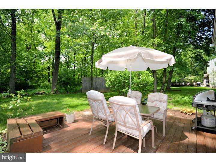 1455 Cortez Road Blue Bell, PA 19422 - Photo 20 of 24 Patio