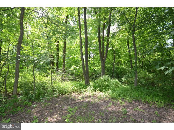 1455 Cortez Road Blue Bell, PA 19422 - Photo 24 of 24 Back Yard