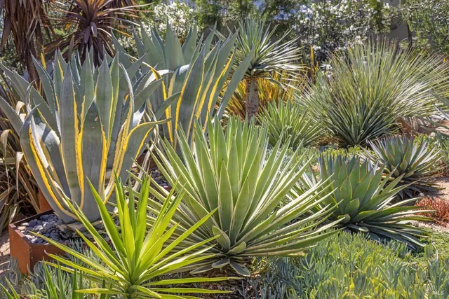 $2,195,000 | 3929 Rincon Ridge Drive, Santa Rosa, CA 95404