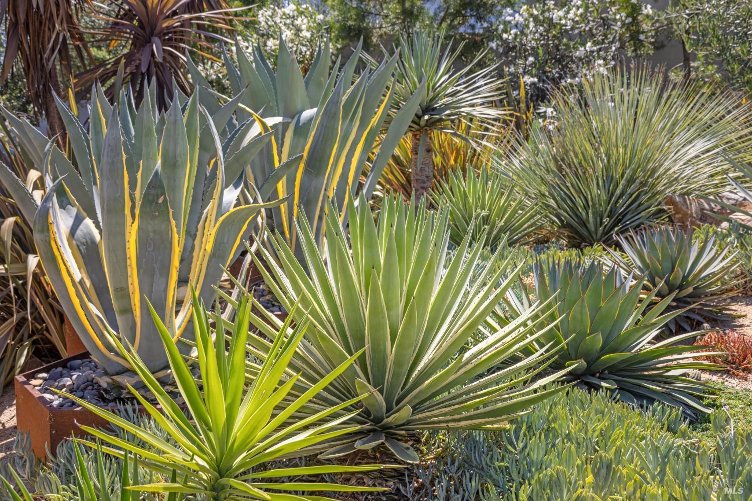 3929 Rincon Ridge Drive Santa Rosa, CA 95404 - Photo 36 of 40