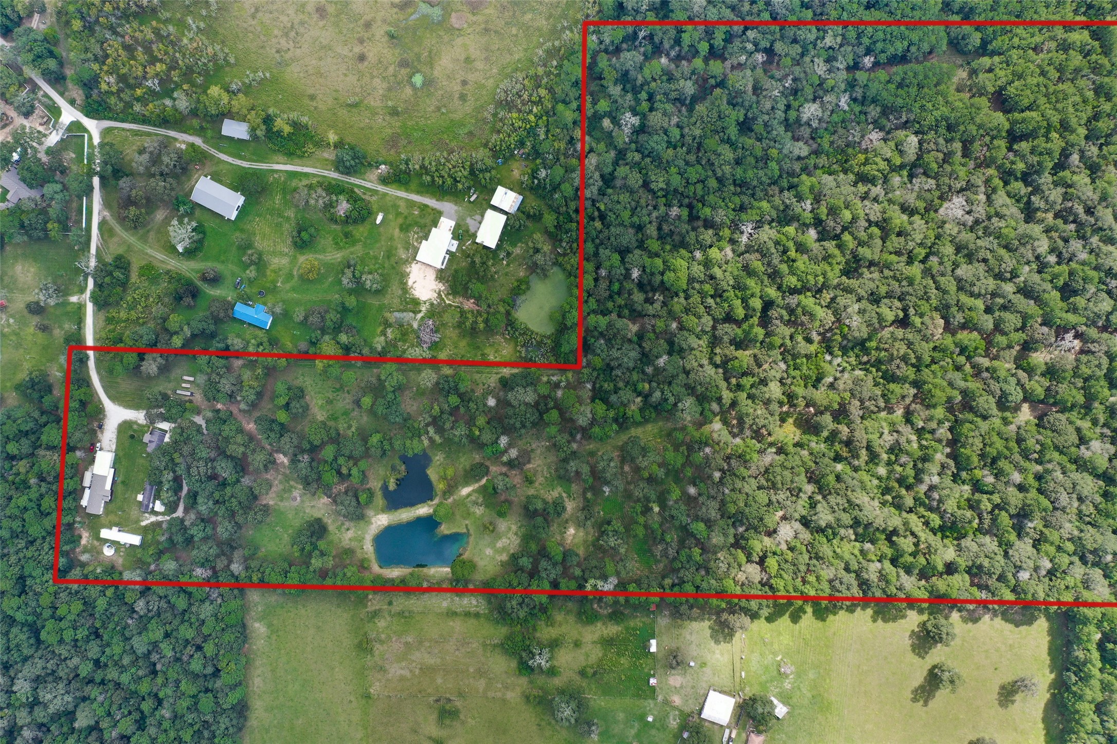 18388 Cooper Road Conroe, TX 77302 - Photo 47 of 49