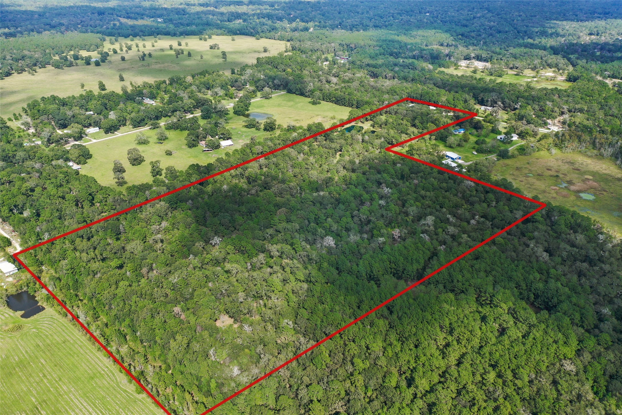 18388 Cooper Road Conroe, TX 77302 - Photo 48 of 49