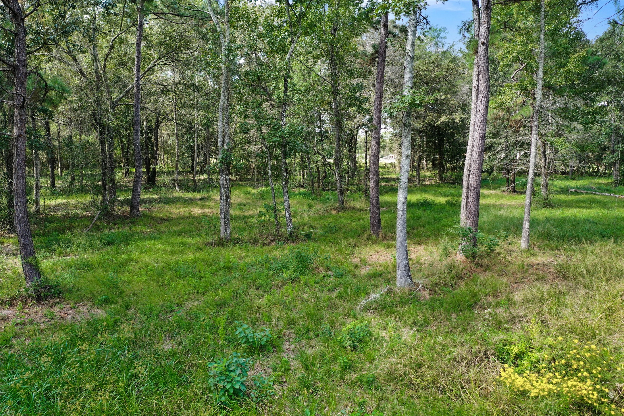 18388 Cooper Road Conroe, TX 77302 - Photo 49 of 49