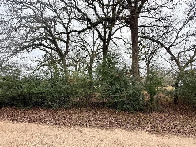 $249,000 | Tbd Wannabe Road, Bryan, TX 77808