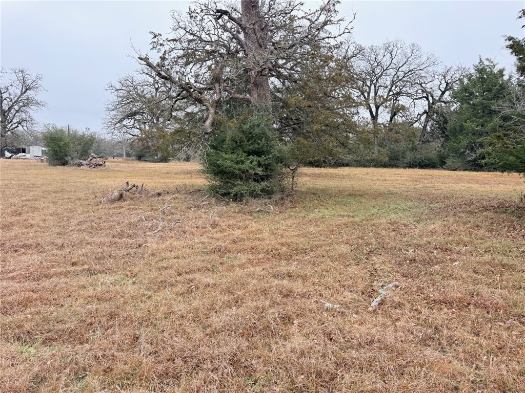 Tbd Wannabe Road Bryan, TX 77808 - Photo 11 of 20