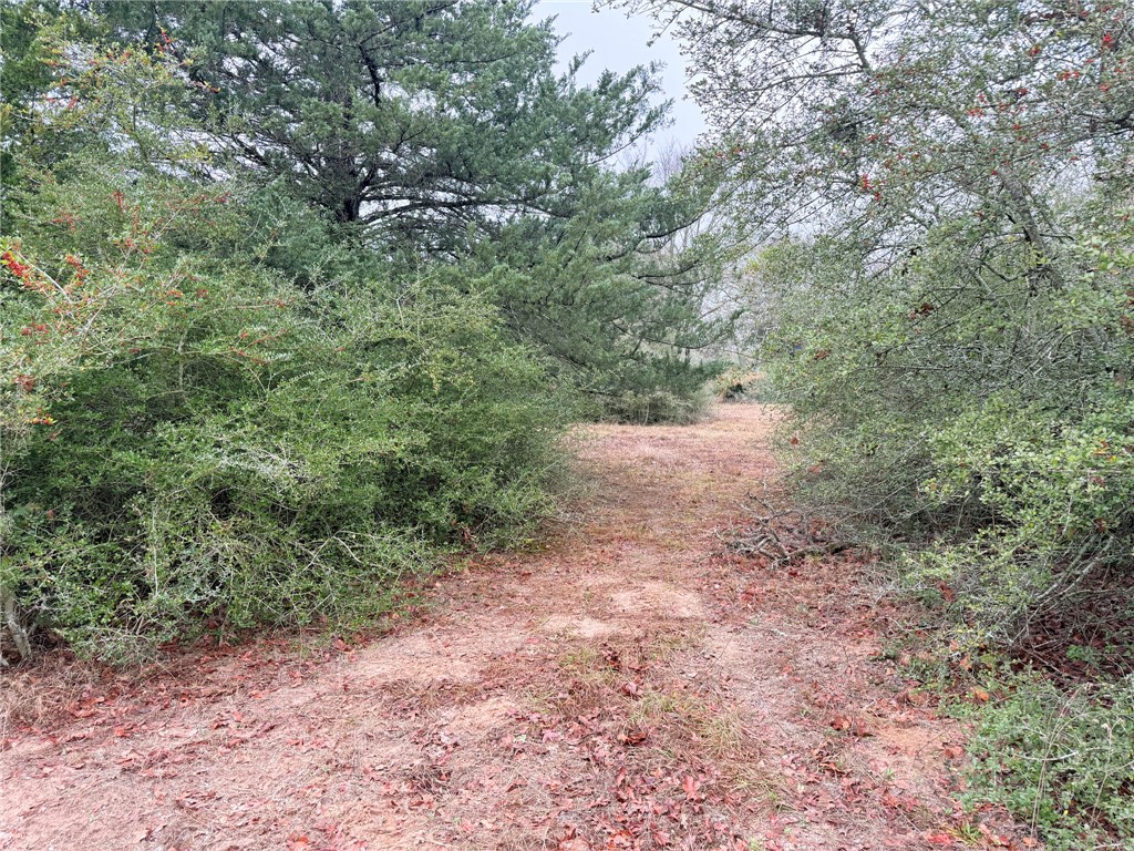 Tbd Wannabe Road Bryan, TX 77808 - Photo 12 of 20