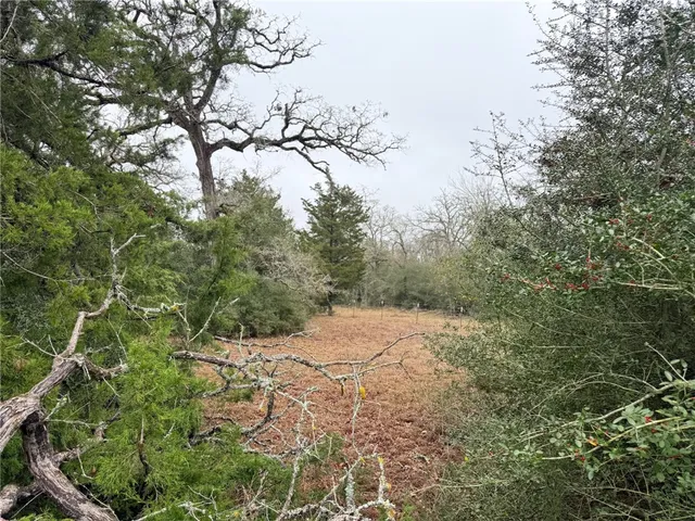 $249,000 | Tbd Wannabe Road, Bryan, TX 77808