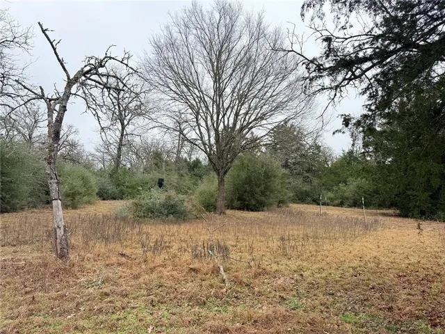 $249,000 | Tbd Wannabe Road, Bryan, TX 77808