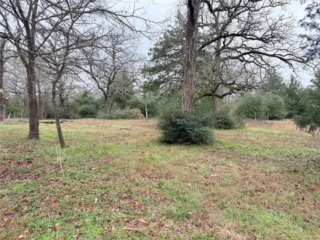 $249,000 | Tbd Wannabe Road, Bryan, TX 77808