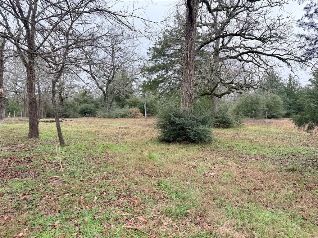 Tbd Wannabe Road Bryan, TX 77808 - Photo 15 of 20