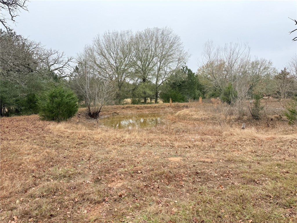 Tbd Wannabe Road Bryan, TX 77808 - Photo 16 of 20