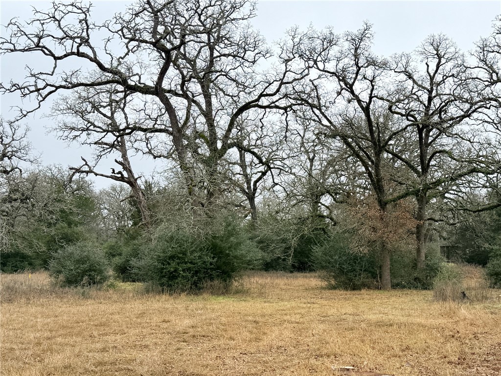 Tbd Wannabe Road Bryan, TX 77808 - Photo 18 of 20