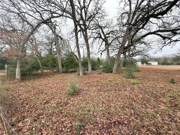 a view of backyard with green space