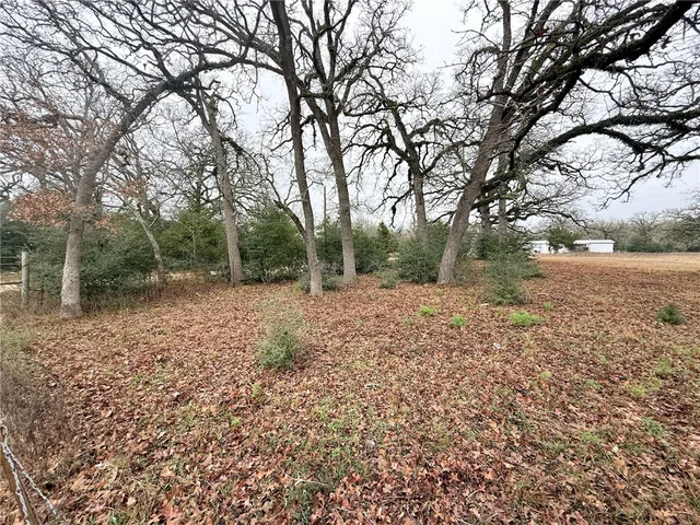$249,000 | Tbd Wannabe Road, Bryan, TX 77808