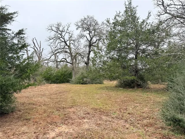 $249,000 | Tbd Wannabe Road, Bryan, TX 77808