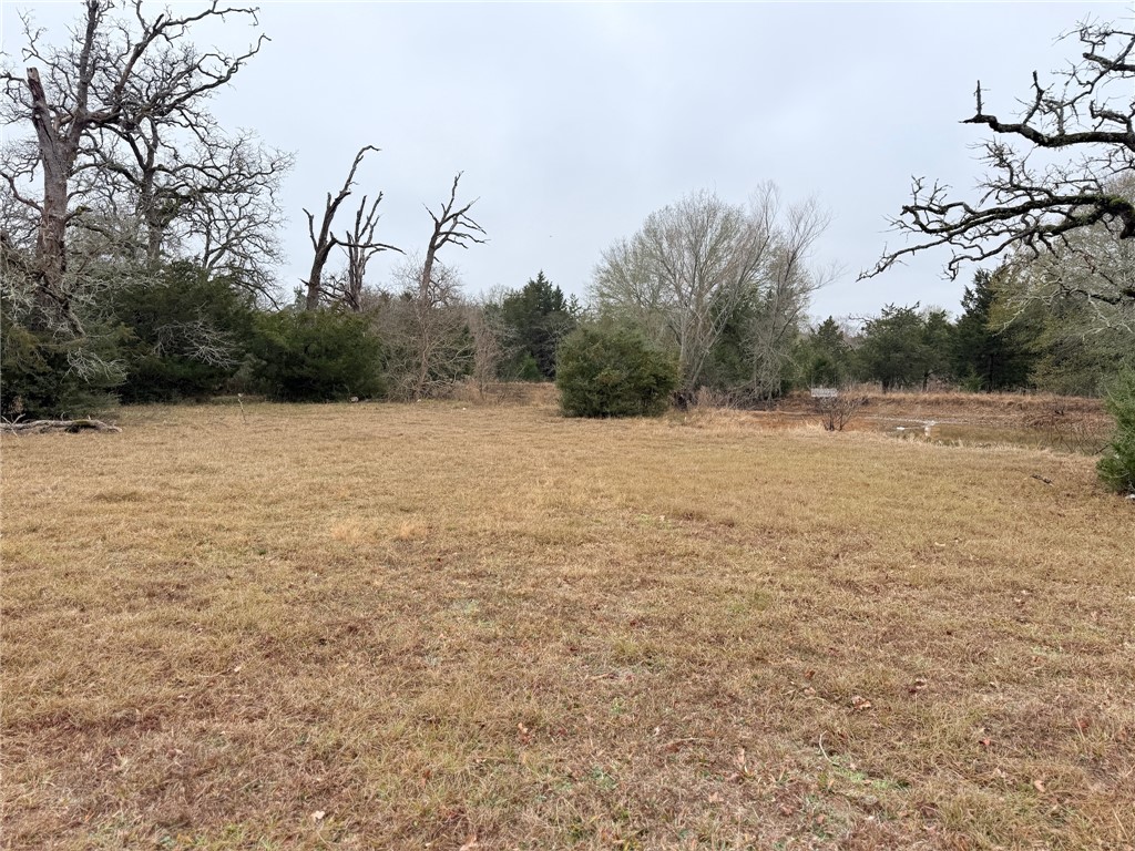 Tbd Wannabe Road Bryan, TX 77808 - Photo 10 of 20