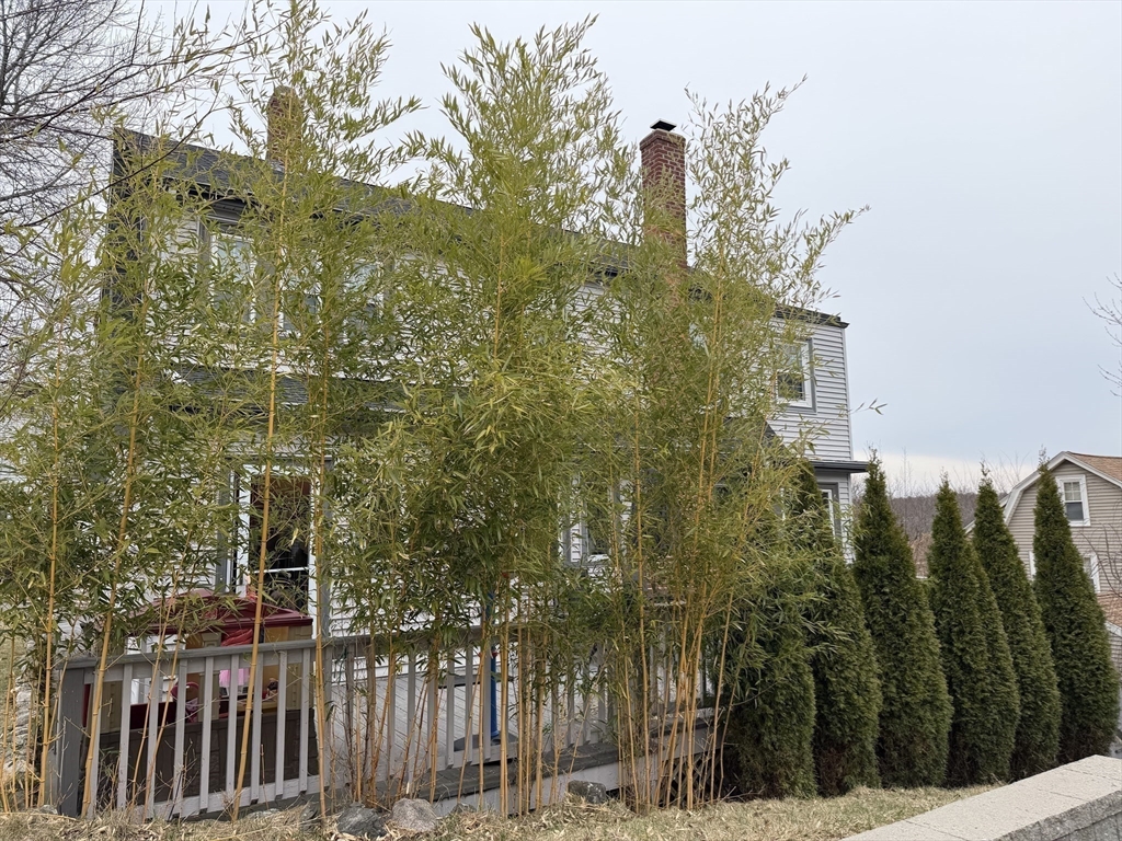 25 Walnut Terrace Arlington, MA 02476 - Photo 6 of 33