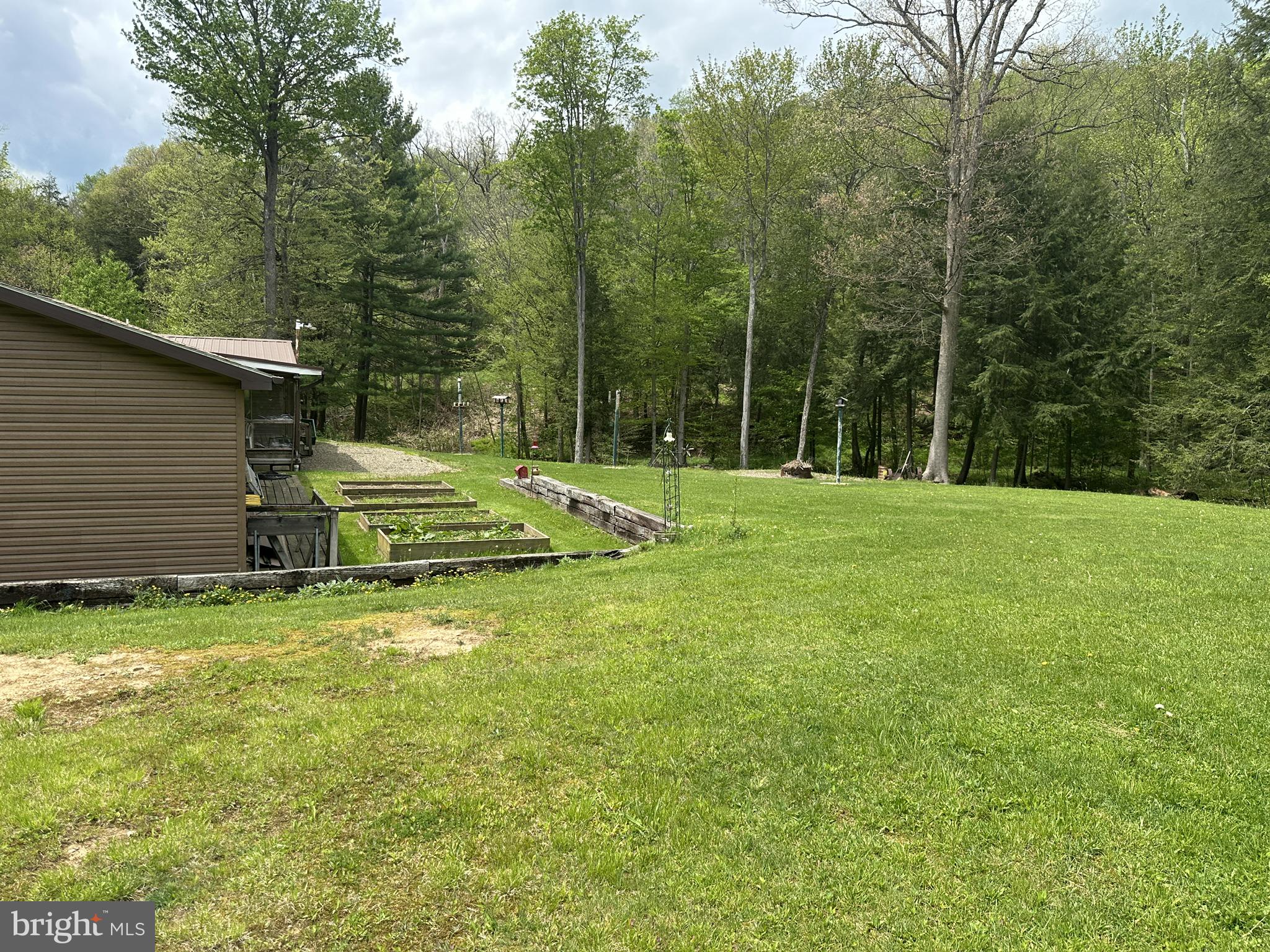 111 Rob Roy Road Bradford, PA 16701 - Photo 5 of 41 Serene green retreat in nature's embrace.