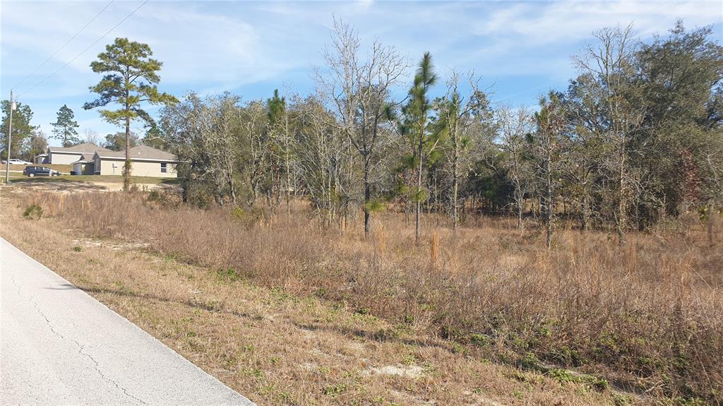 Southwest Viburnum Road Dunnellon, FL 34431 - Photo 1 of 1
