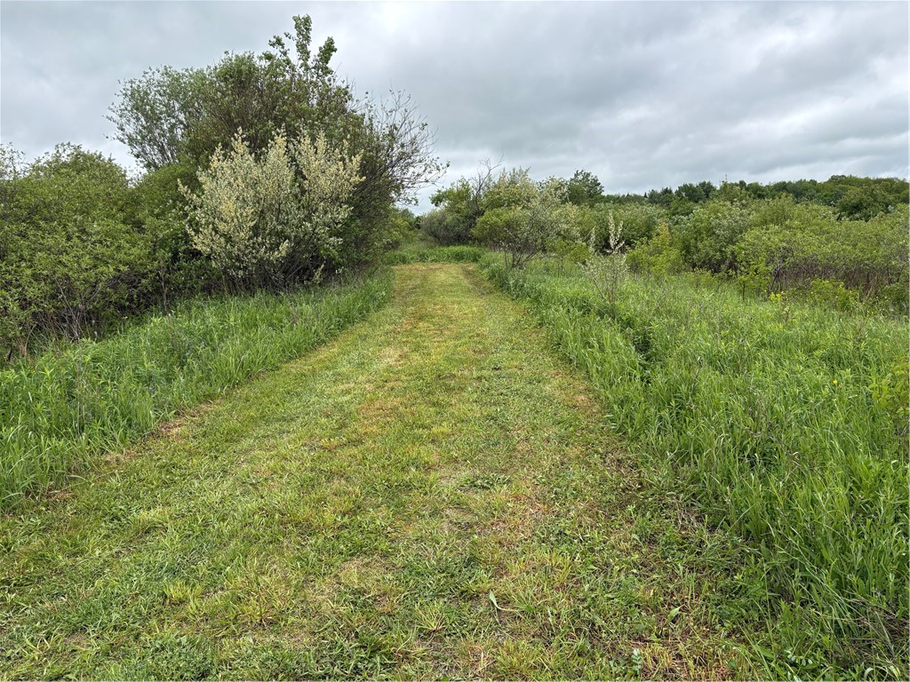 Wahlberg Road Guilford, NY 13780 - Photo 6 of 25
