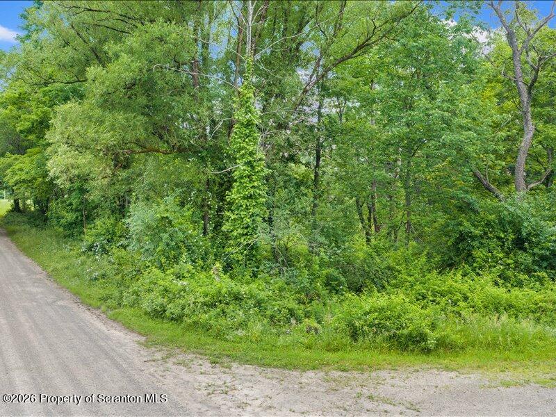 Stanley Lake Road Friendsville, PA 18818 - Photo 8 of 15 Road frontage