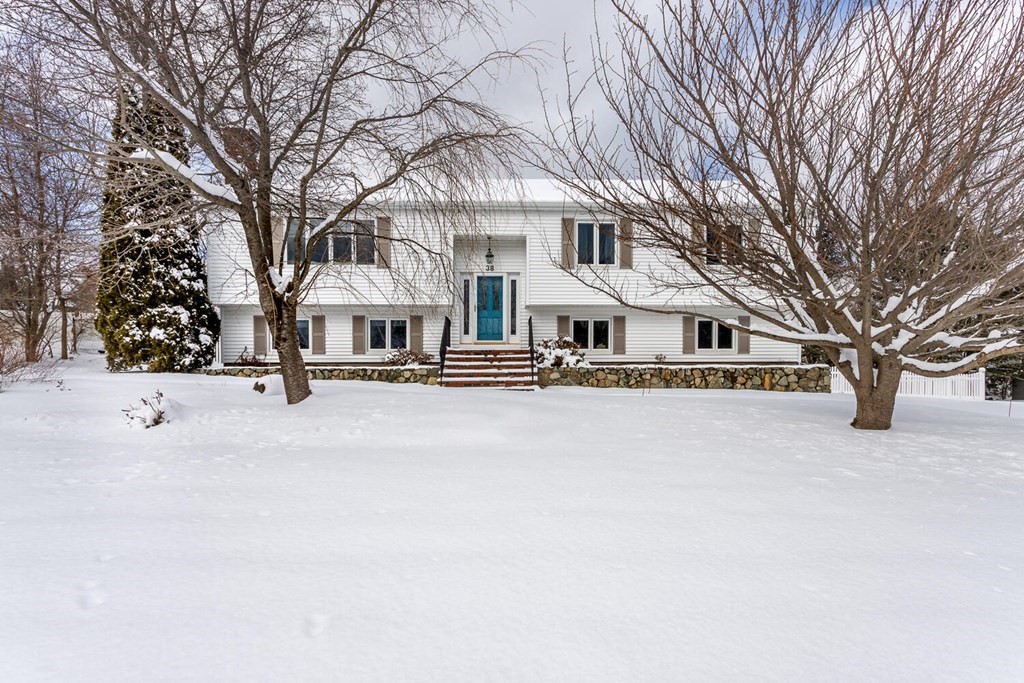 a view of large white house with a large tree