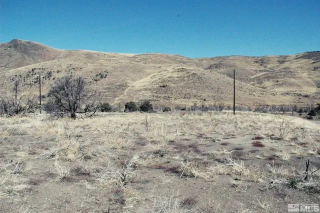 a view of a dry yard covered with snow