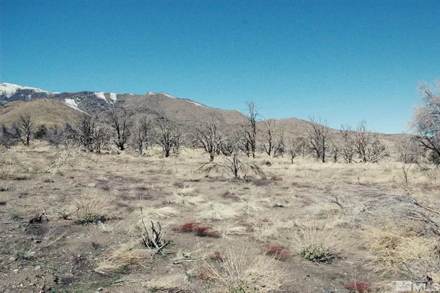 a view of a dry yard