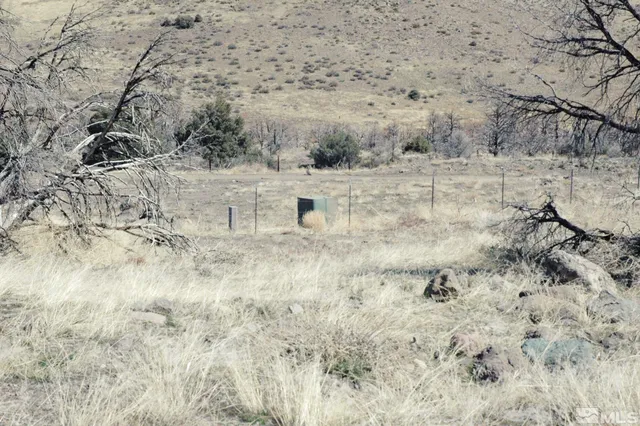 a view of a dry yard covered with snow