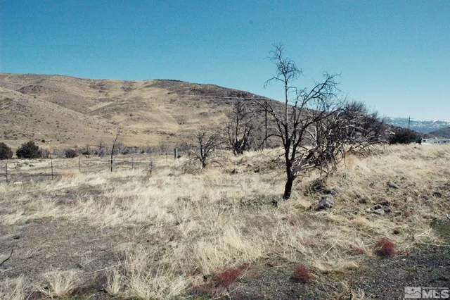 a view of a dry yard