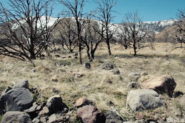 a view of a yard covered with snow