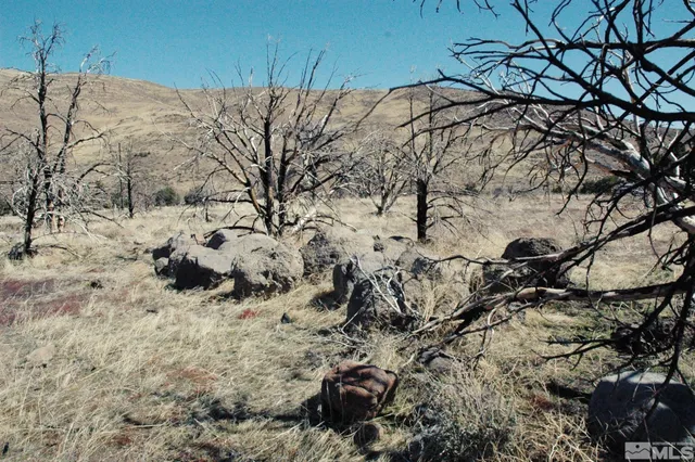 a view of a covered with snow in the background