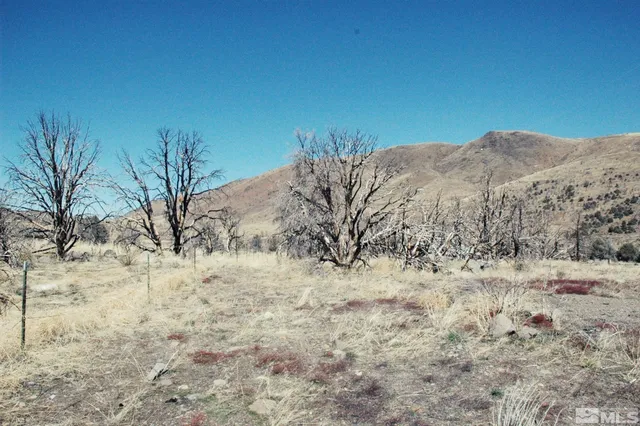 a view of a dry yard