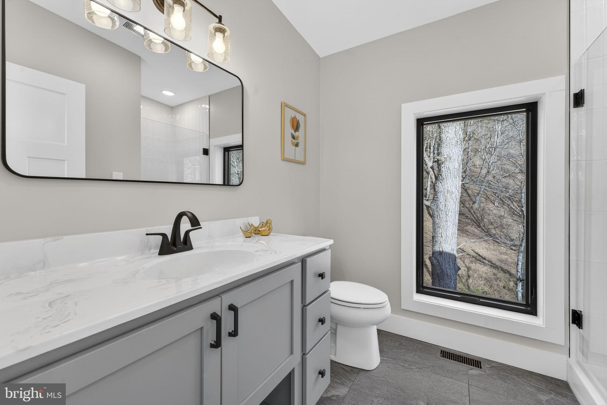 1956 Dove Hollow Road Mathias, WV 26812 - Photo 50 of 113 a bathroom with a granite countertop sink a toilet and mirror