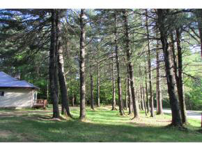 84 Fay Boyden Road Wardsboro, VT 05360 - Photo 23 of 23 Gallery Image 23