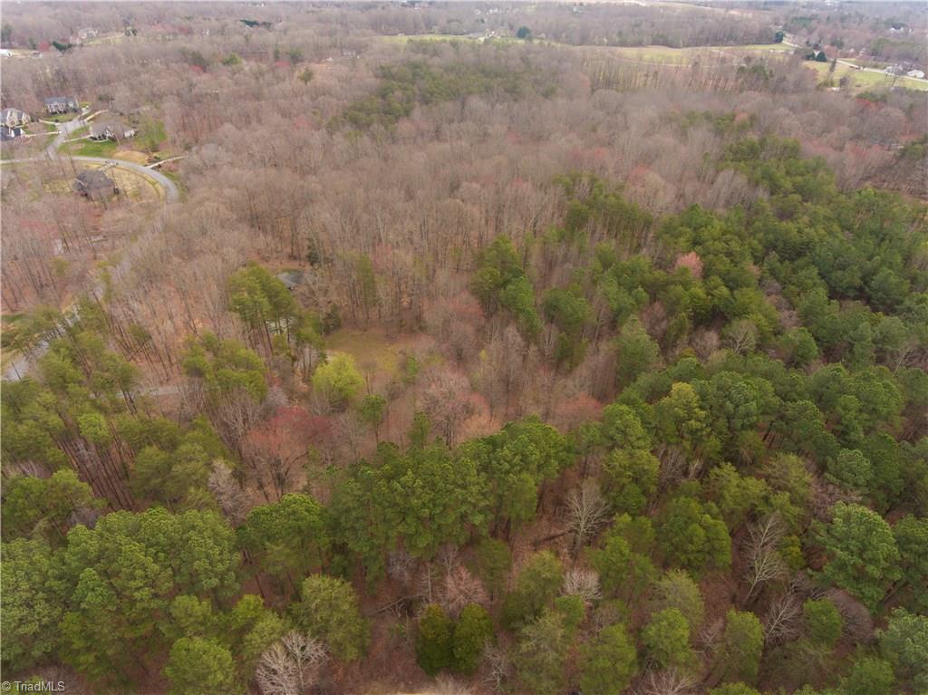 7000 Lanier Road Summerfield, NC 27358 - Photo 7 of 9