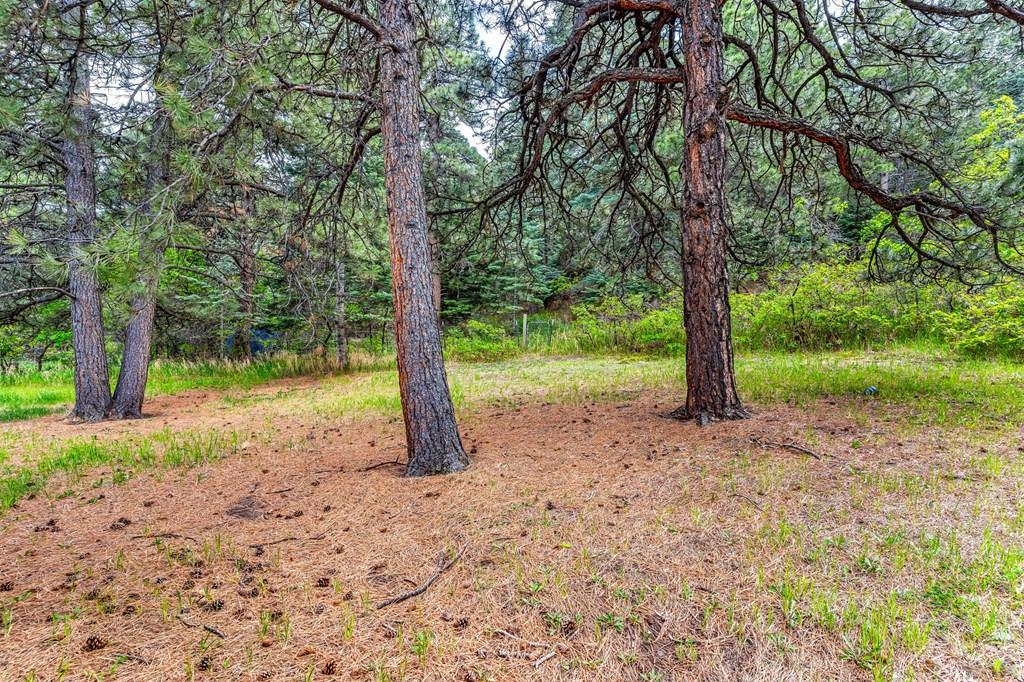 8486 Highway 165 Rye, CO 81069 - Photo 37 of 60