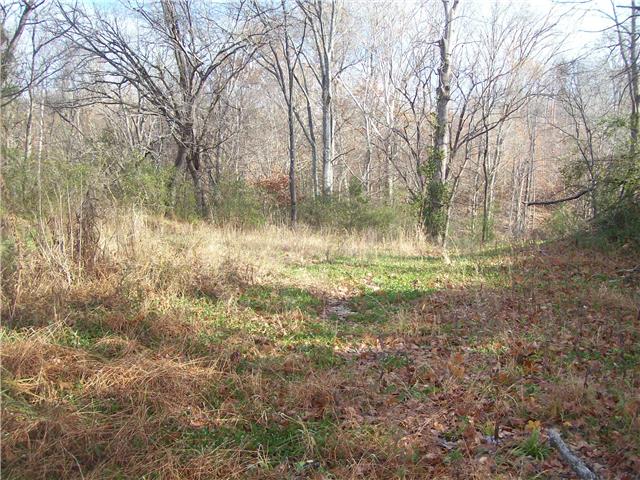 173 Linden Road Centerville, TN 37033 - Photo 1 of 8 Gallery Image 1