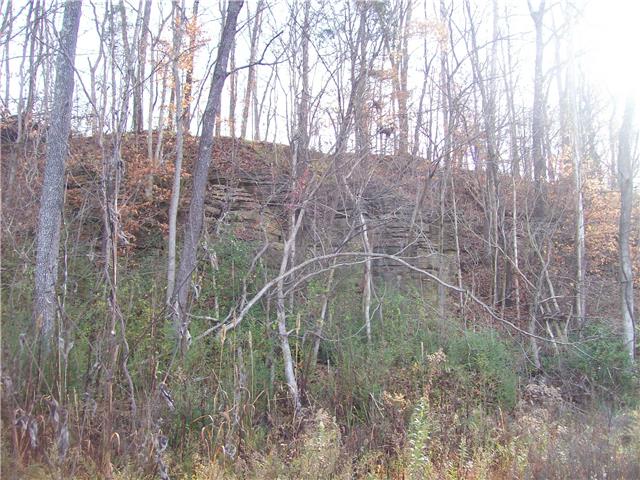 173 Linden Road Centerville, TN 37033 - Photo 3 of 8 Gallery Image 3