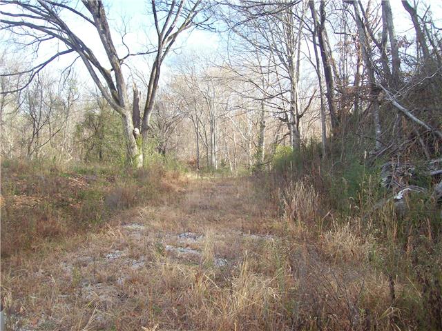 173 Linden Road Centerville, TN 37033 - Photo 4 of 8 Gallery Image 4