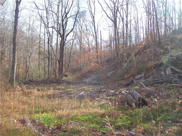 173 Linden Road Centerville, TN 37033 - Photo 5 of 8 Gallery Image 5