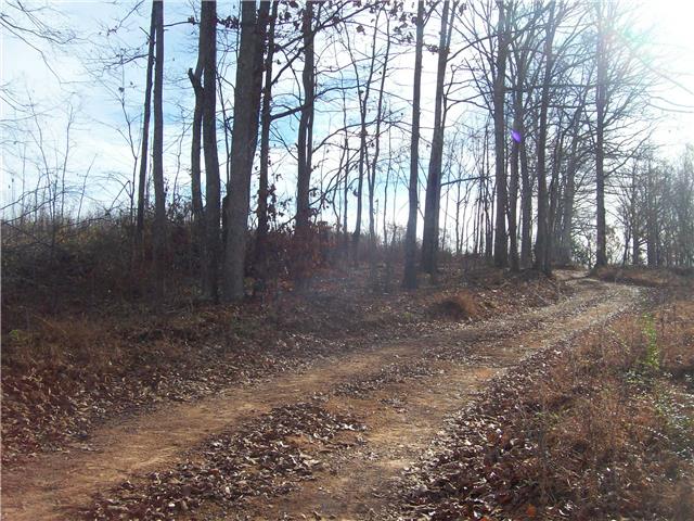 173 Linden Road Centerville, TN 37033 - Photo 6 of 8 Gallery Image 6