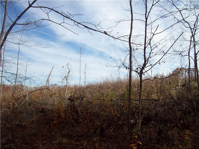 173 Linden Road Centerville, TN 37033 - Photo 7 of 8 Gallery Image 7