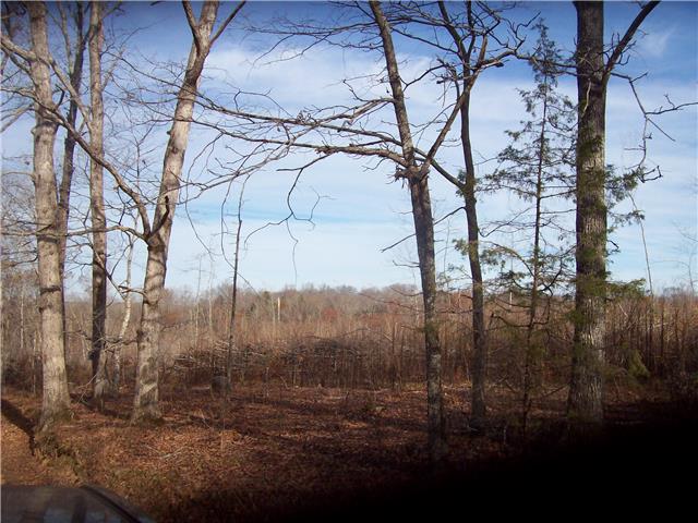 173 Linden Road Centerville, TN 37033 - Photo 8 of 8 Gallery Image 8